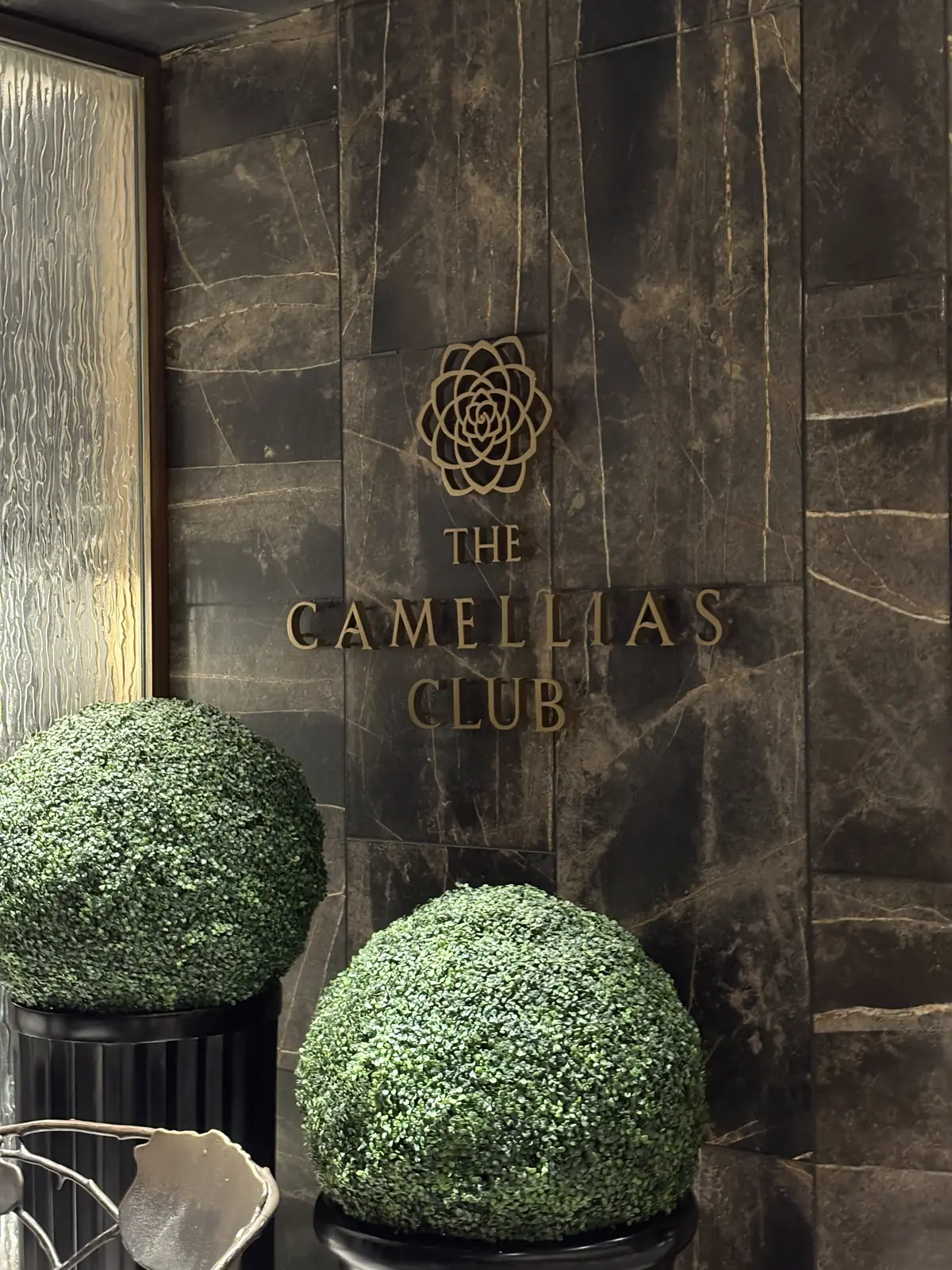 The Camellias: GAPS Events Venue